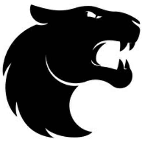FURIA Logo